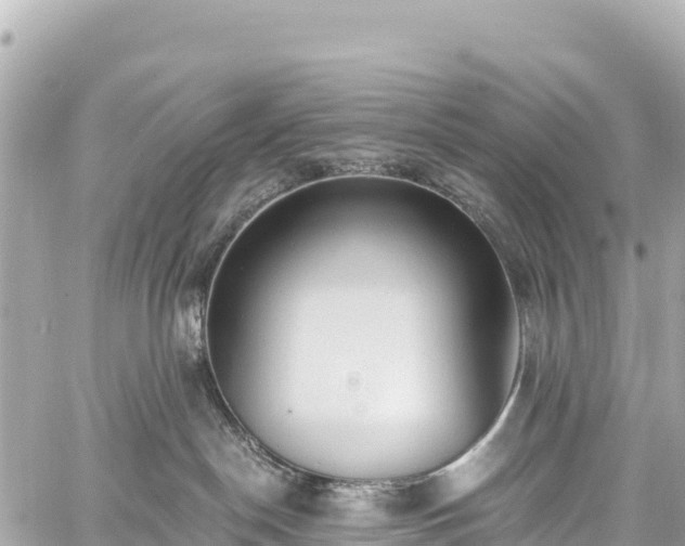 X0000059040190200510101019