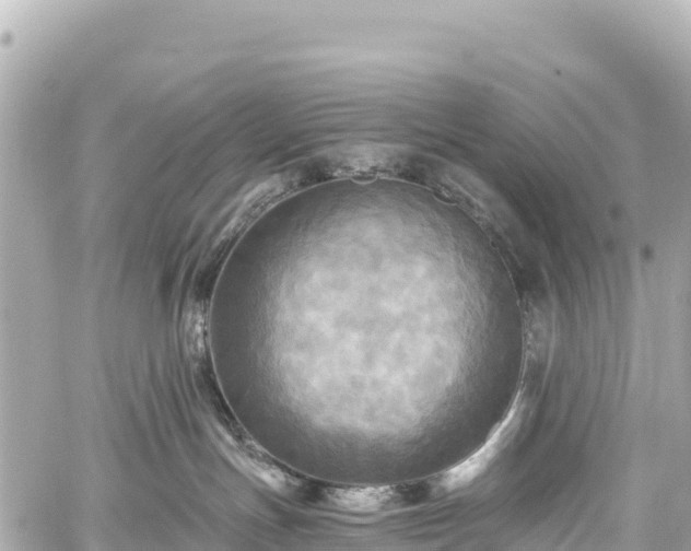 X0000059040191200510101019