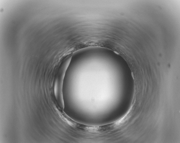 X0000059040192200510101019