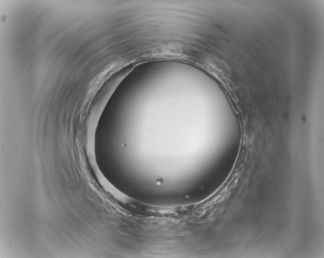 X0000059040193200510101019