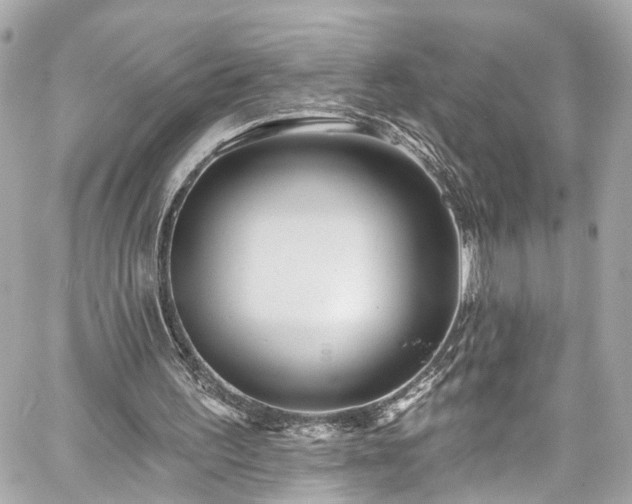 X0000059040195200510101018