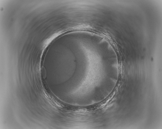 X0000059040196200510101018