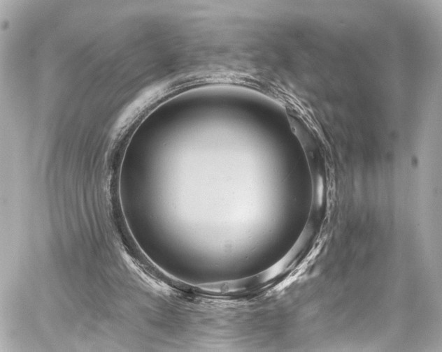 X0000059040197200510101018