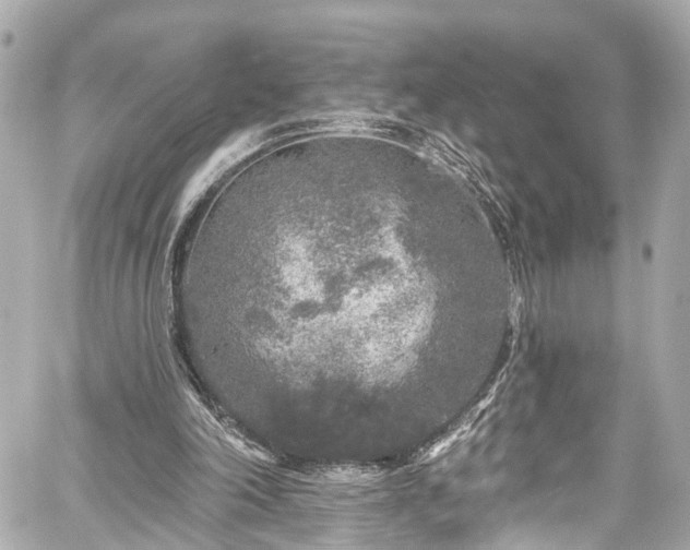 X0000059040198200510101018