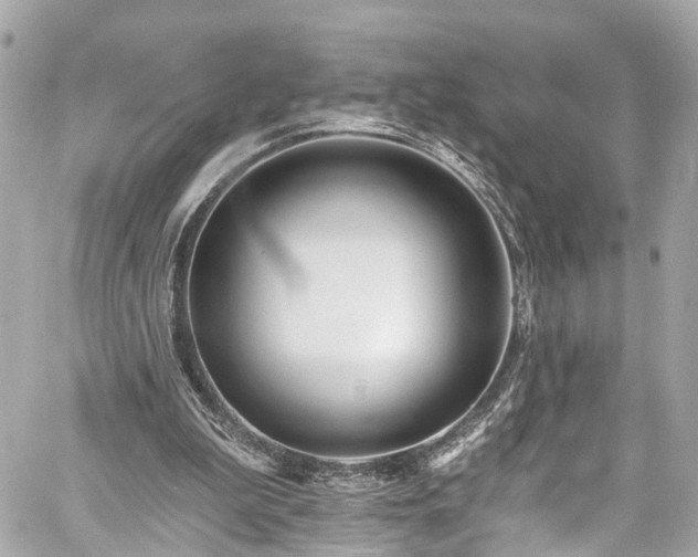 X0000059040199200510101018