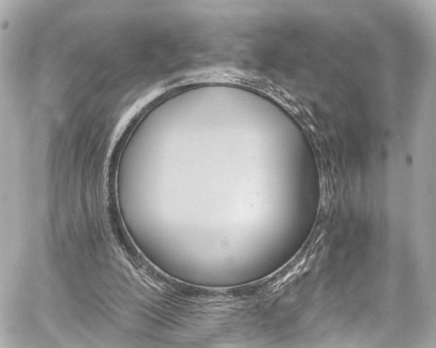 X0000059040200200510101018