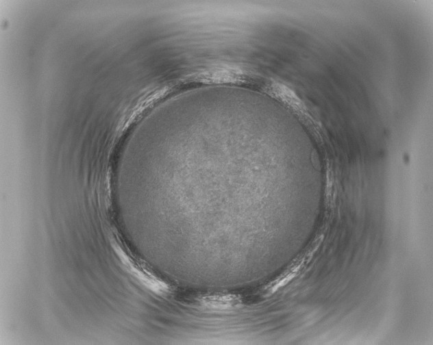 X0000059040202200510101018