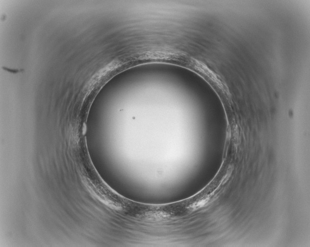 X0000059040203200510101018