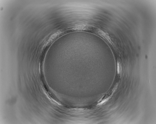 X0000059040205200510101018