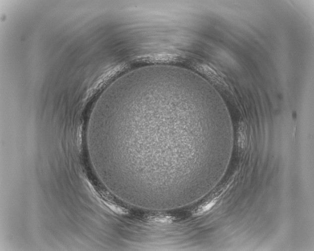 X0000059040206200510101018