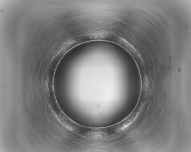 X0000059040209200510101018