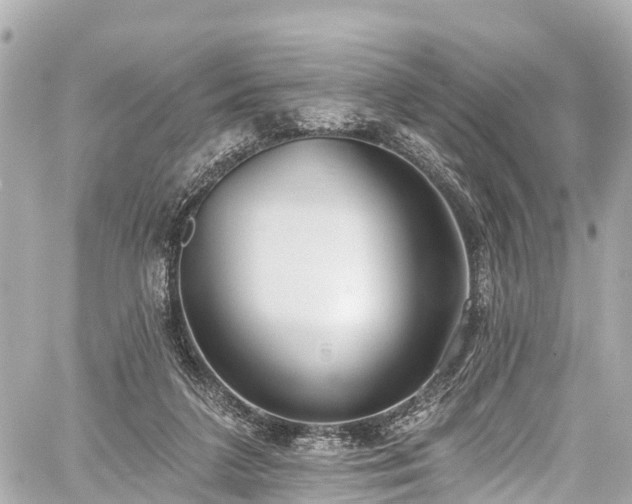 X0000059040211200510101018