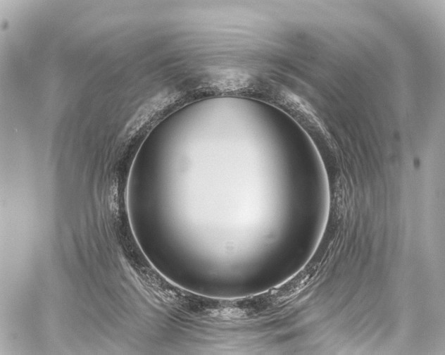 X0000059040212200510101018