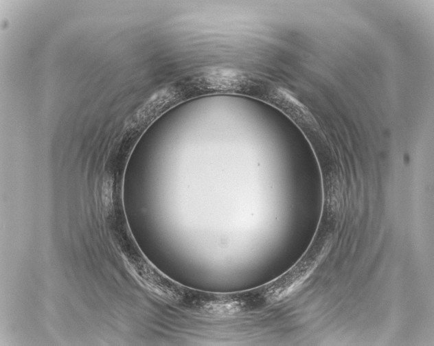 X0000059040213200510101018