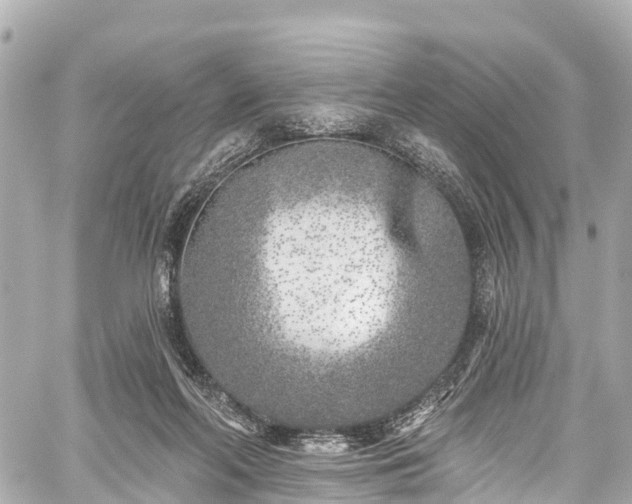 X0000059040214200510101018