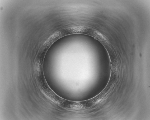 X0000059040215200510101018