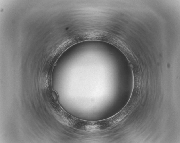 X0000059040216200510101018