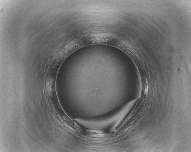 X0000059040219200510101018