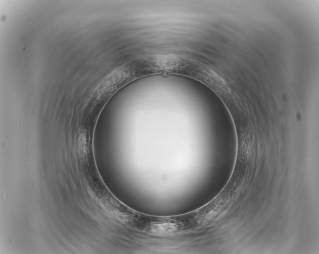 X0000059040220200510101018