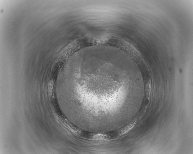 X0000059040222200510101018