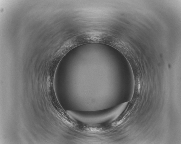 X0000059040223200510101018