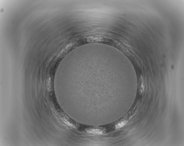 X0000059040224200510101018