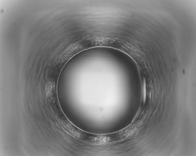 X0000059040225200510101018