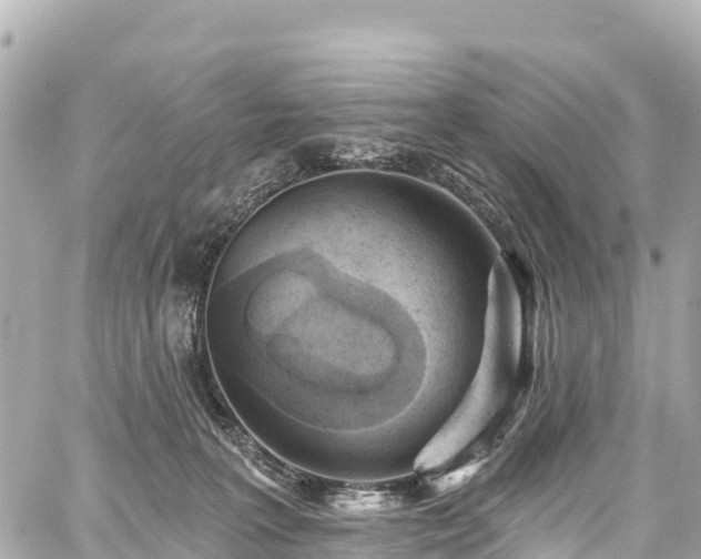 X0000059040227200510101018