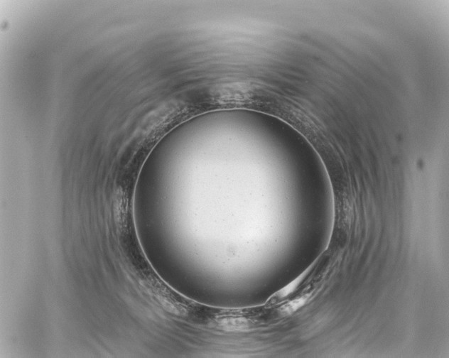 X0000059040228200510101018