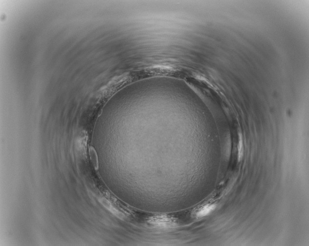 X0000059040231200510101018