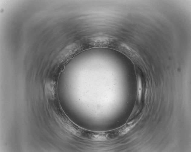 X0000059040232200510101018