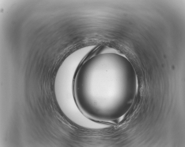 X0000059040233200510101018