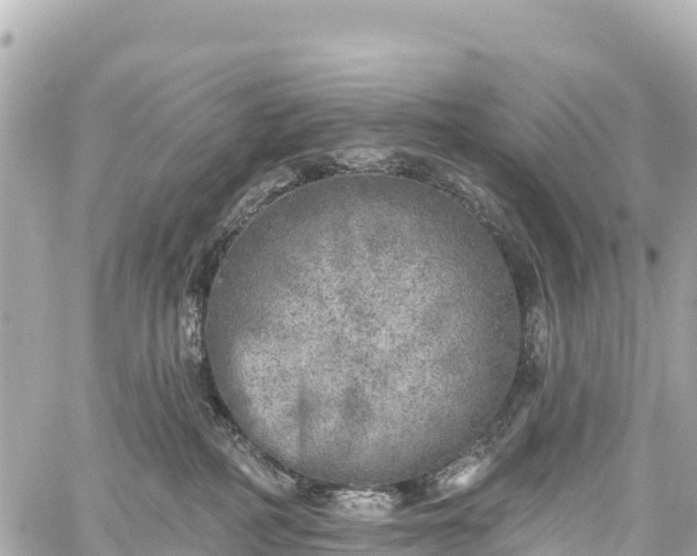 X0000059040234200510101018