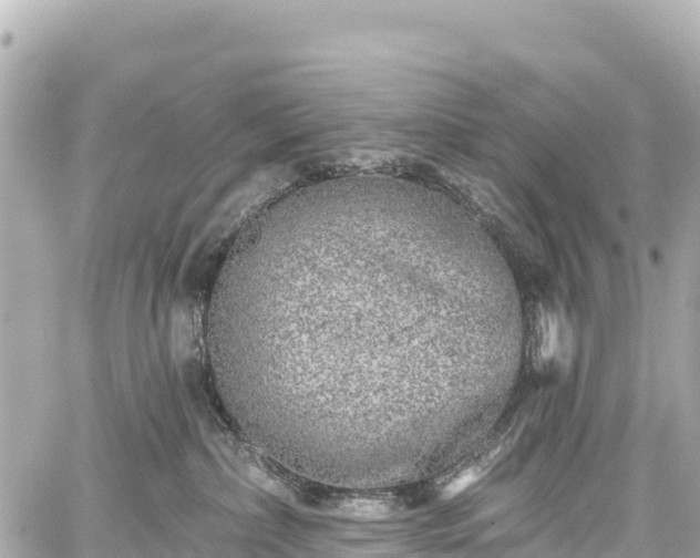 X0000059040236200510101018