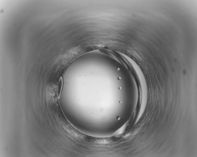 X0000059040237200510101018