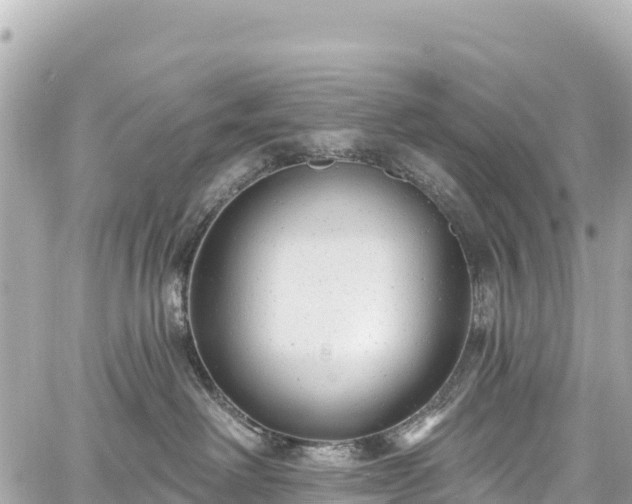 X0000059040238200510101018