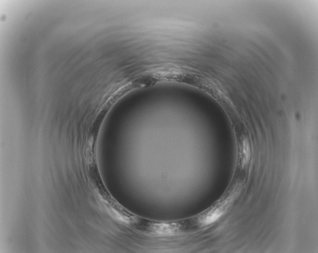 X0000059040239200510101018