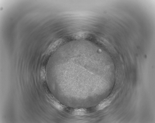 X0000059040240200510101018