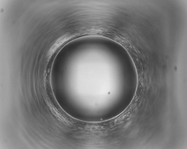 X0000059040242200510101017