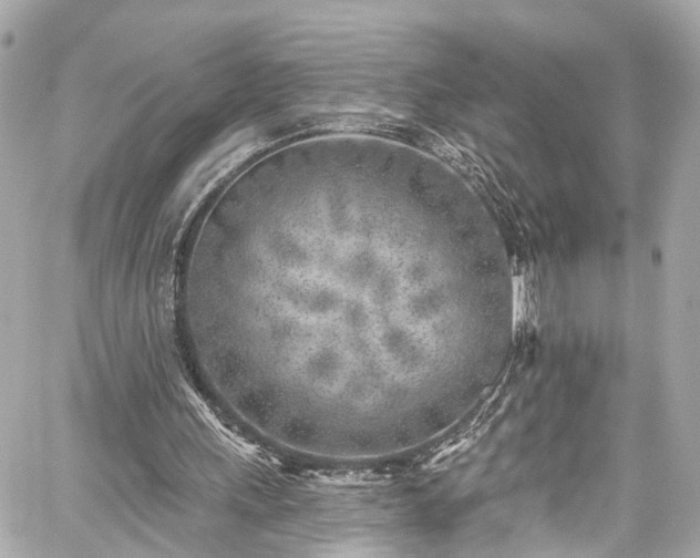 X0000059040243200510101017