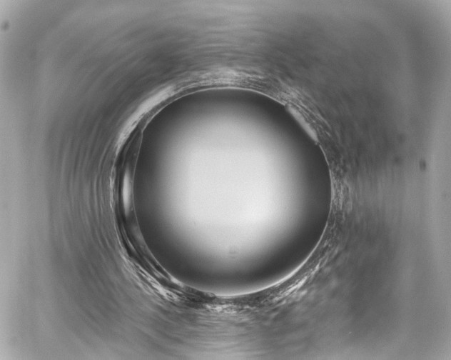 X0000059040244200510101017