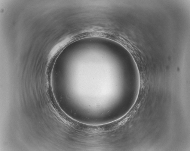 X0000059040245200510101017