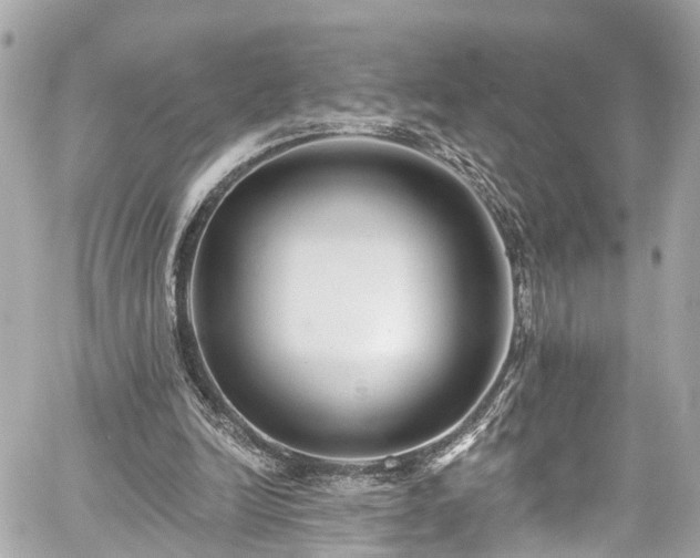 X0000059040246200510101017