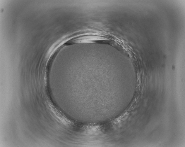 X0000059040247200510101017