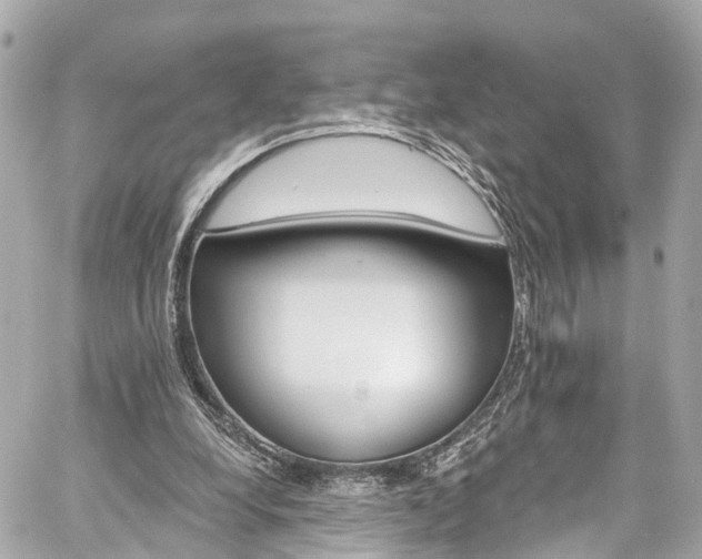 X0000059040248200510101017