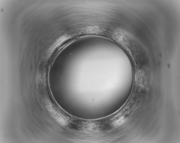 X0000059040249200510101017