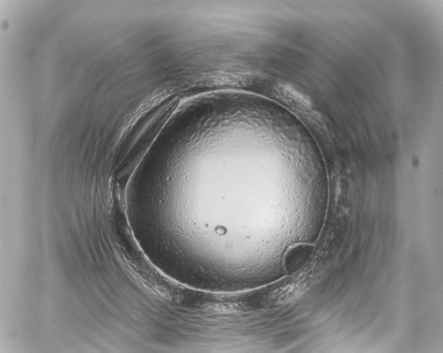 X0000059040250200510101017