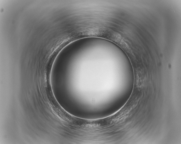 X0000059040251200510101017