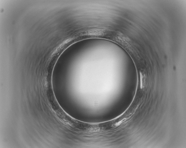 X0000059040252200510101017