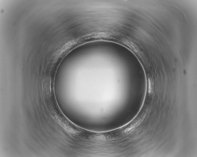 X0000059040253200510101017